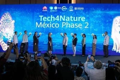 В Мексике стартовал второй этап проекта Tech4Nature по защите ягуаров 