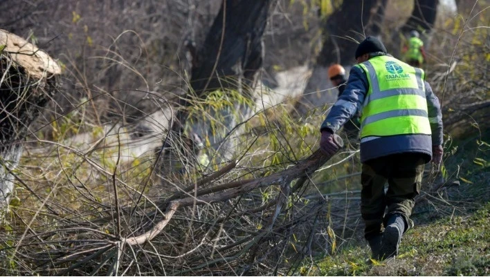Вдоль Васильевского тракта проводится санитарная обрезка деревьев и покос травы