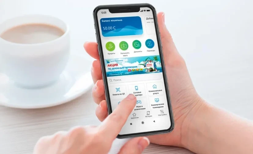 В Бишкеке задержан участник схемы хищения 23 млн сомов через электронный кошелек