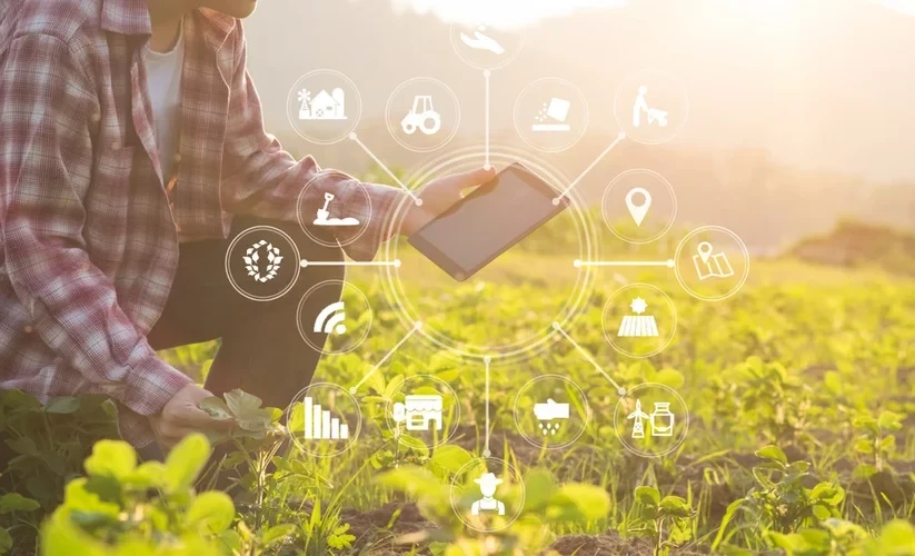 Как цифровые сервисы помогают кыргызстанским фермерам увеличивать продажи и экономить время