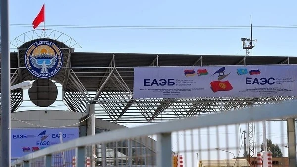 В Кыргызстан не пропустили более 6,4 тонн рыбы из Ирана