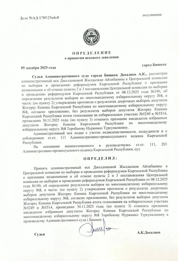 Скандал вокруг округа № 8: суд Бишкека принял иск Джолдошевой к ЦИК