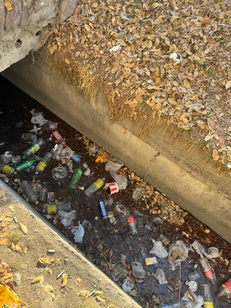 Жители дома на Сухомлинова пожаловались на мусор и драки во дворе. Комментарий мэрии