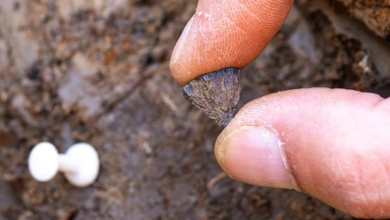 CNN: археологи нашли самый древний в мире костер