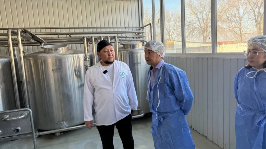 В Чуйской области переработка молока вышла на новый уровень
