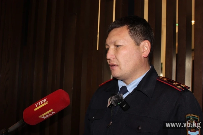 В МВД КР заявили о высокой скрытности насилия в семьях с инвалидностью