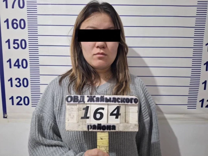 В Чуйской области задержаны очередные дропперы