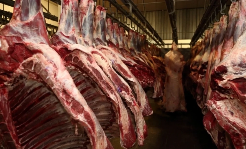 В Кыргызстан не пропустили почти 22 тонны говядины из Пакистана