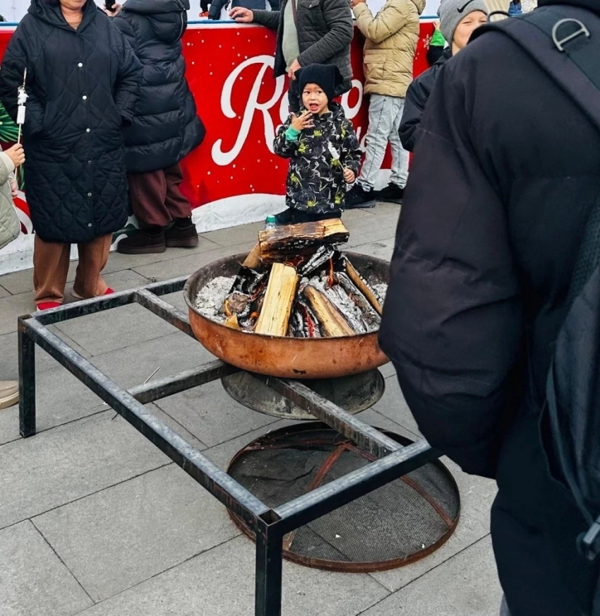 Экослужбы выявили факт незаконного разведения огня в центре Бишкека