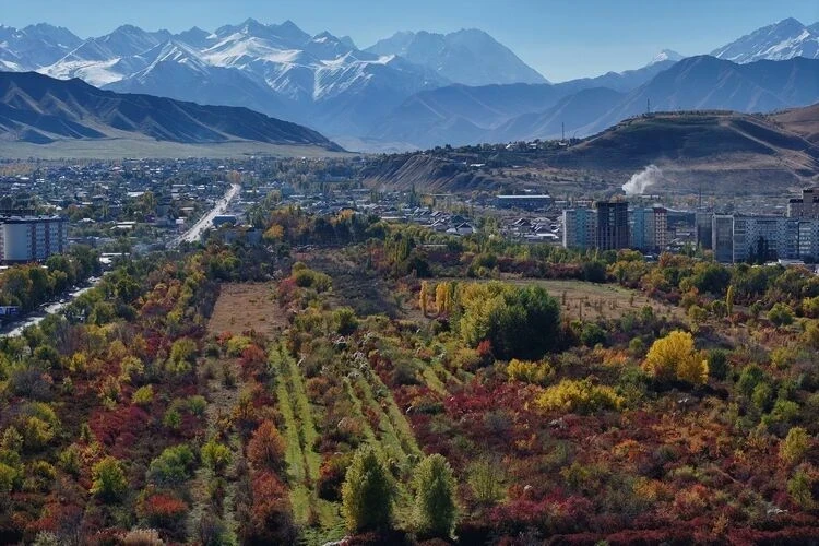 «Что осталось от Ботанического сада?» В Сети обсуждают новое тревожное видео