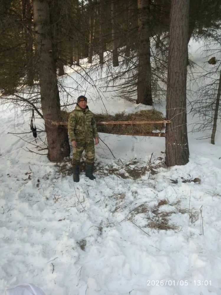 В Чон-Кеминском парке егеря фиксируют выход косуль к подкормке