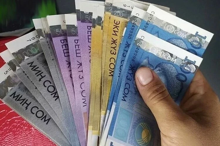 Платные услуги в 2025 году выросли на 11,2 процента. Что подорожало больше всего