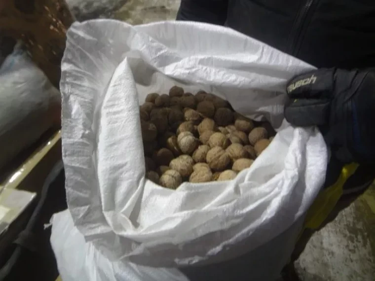 В Россию не пропустили 160 килограммов грецких орехов из Кыргызстана