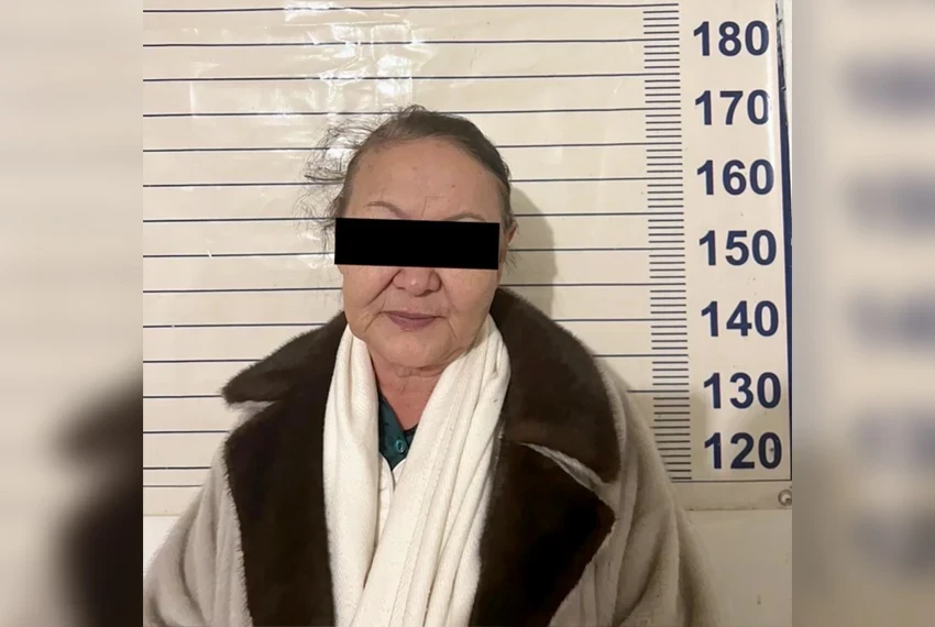 В Чуйской области задержана подозреваемая в самовольном захвате чужого участка