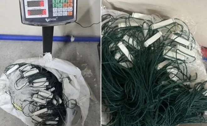 Таможенники пресекли ввоз 11,8 кг запрещенных рыболовных сетей
