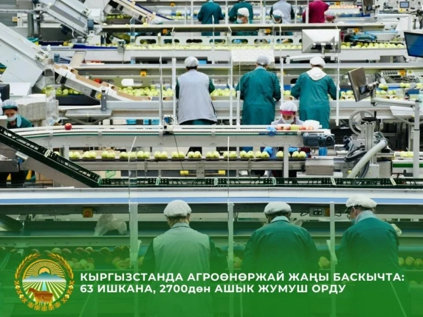 Минсельхоз КР: по итогам 2025 года введены в работу 63 новых предприятия