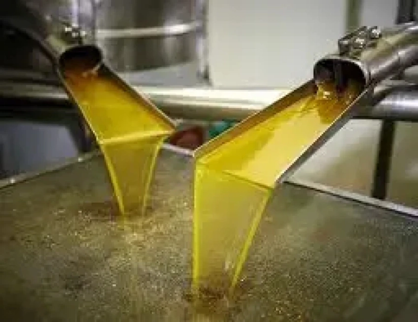 В Сокулукском районе запущено производство сафлорового масла