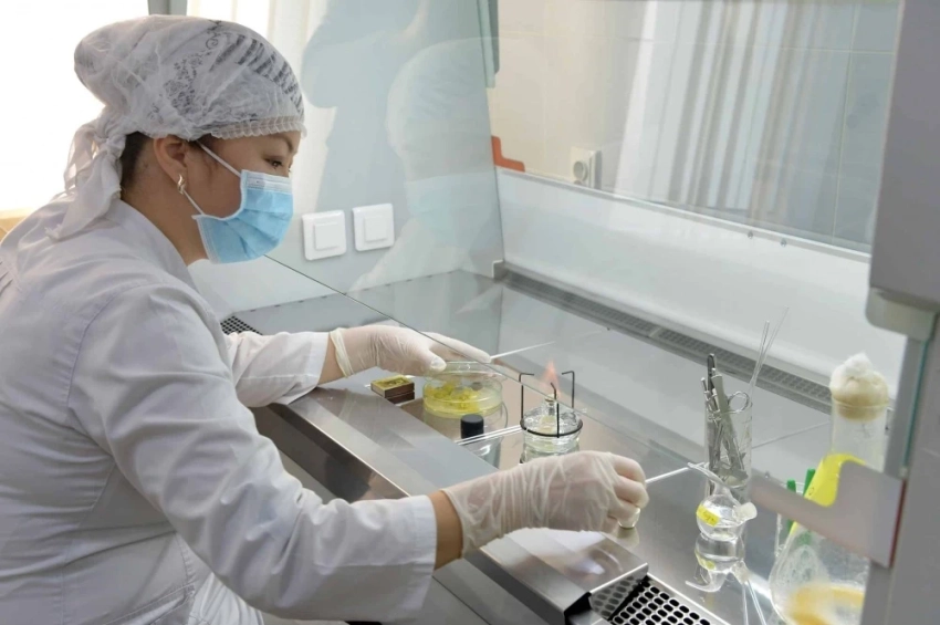 Ввезенный из России картофель вернули из-за фитосанитарных нарушений