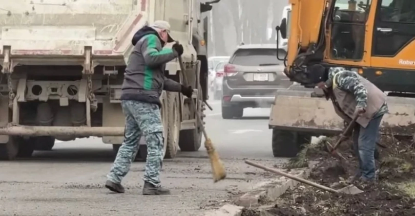 Мэрия Бишкека: Вырубка кустов – часть нового дизайн-кода столицы