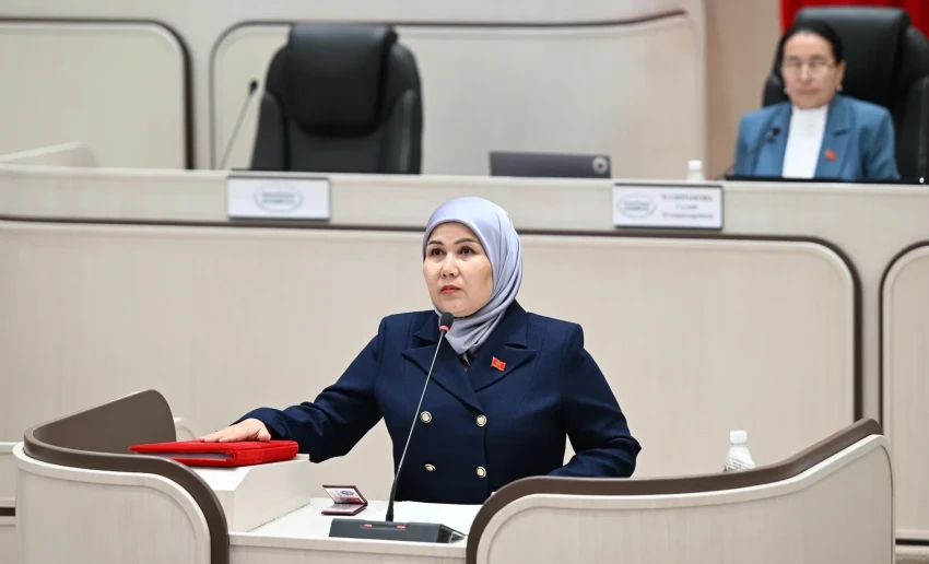 Депутат подняла вопросы строительства школ и статуса села в Ошской области