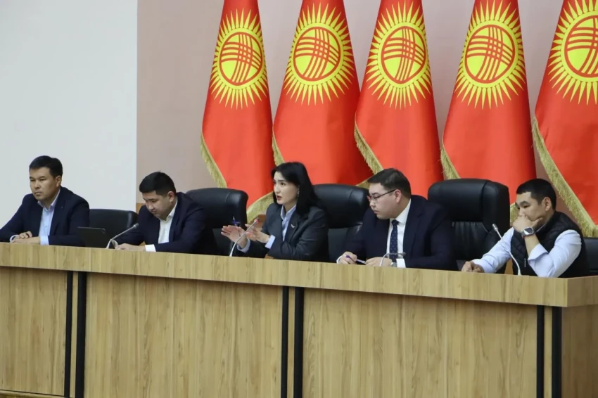 В МЭК прорабатывают конкретные меры по развитию швейной отрасли