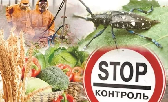 В ЕАЭС усовершенствован карантинный фитосанитарный контроль