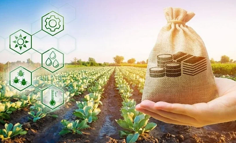 В КР запускают электронную подачу заявок на агрокредиты