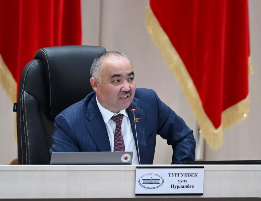 Спикер и депутат парламента ответили на критику Садыра Жапарова