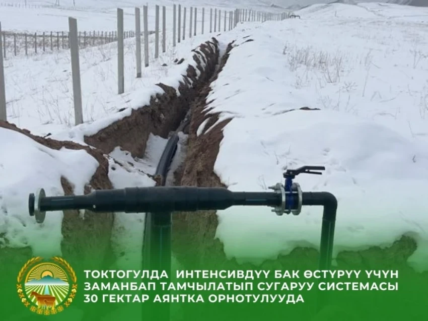 В Токтогуле внедряют интенсивное садоводство на засушливых землях