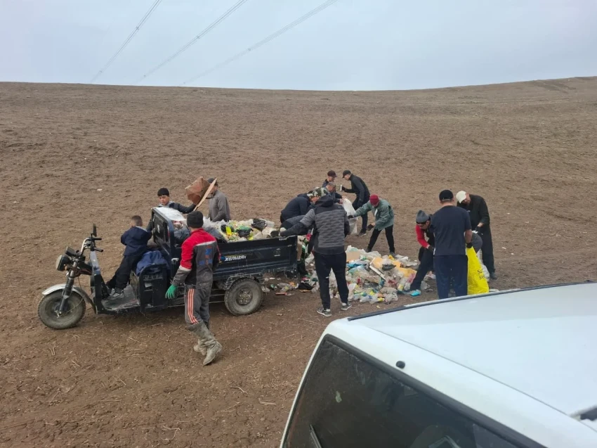 Организатора конных игр в Узгене оштрафовали за мусор после мероприятия