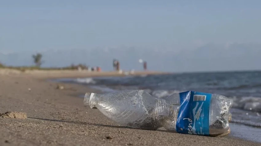 За использование пластиковых пакетов на Иссык-Куле выдано 950 предупреждений